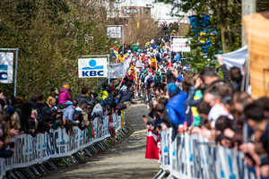 HALLER Marco: Ronde Van Vlaanderen 2022 - MenÂ´s Race
