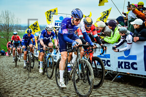 VANMARCKE Sep: Ronde Van Vlaanderen 2023 - MenÂ´s Race
