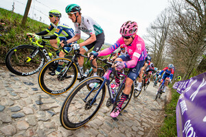 BETTIOL Alberto: Ronde Van Vlaanderen 2021 - Men