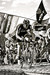 STANNARD Ian: 99. Ronde Van Vlaanderen 2015