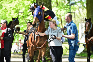 MINARIK Filip: 150 Years Horseracecourse Hoppegarten