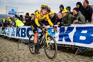 SWINKELS Karlijn: Ronde Van Vlaanderen 2023 - WomenÂ´s Race