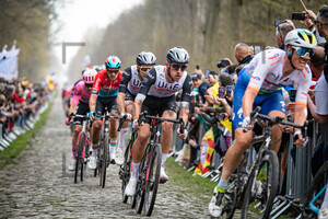 BJERG Mikkel: Paris - Roubaix - MenÂ´s Race