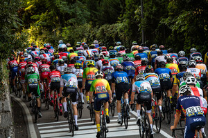 Peloton: UEC Road Cycling European Championships - Trento 2021