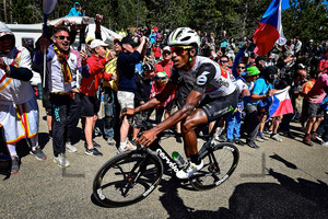 TEKLEHAIMANOT Daniel: 103. Tour de France 2016 - 12. Stage