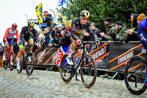 MERLIER Tim: Ronde Van Vlaanderen 2023 - MenÂ´s Race