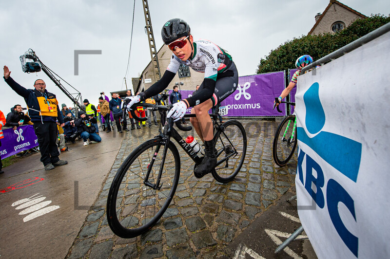 BREDEWOLD Mischa: Ronde Van Vlaanderen 2022 - WomenÂ´s Race 