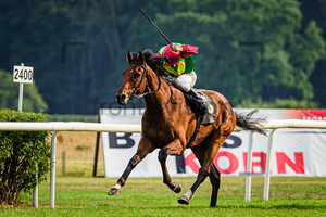 CADEDDU Michael: Horse Race Course Hoppegarten