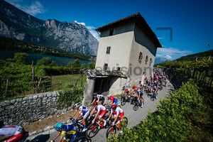 Peloton: UEC Road Cycling European Championships - Trento 2021