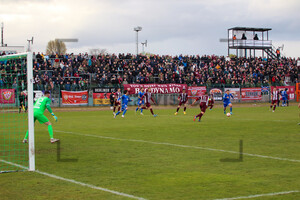 BFC Dynamo vs. Carl Zeiss Jena Spielfotos