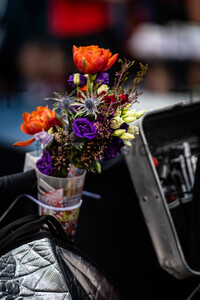 FLOWER POWER: UCI Track Nations Cup Glasgow 2022