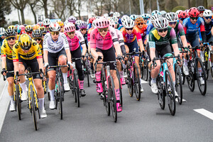 BACKSTEDT Jane Zoe: Dwars Door Vlaanderen 2023 - WomenÂ´s Race