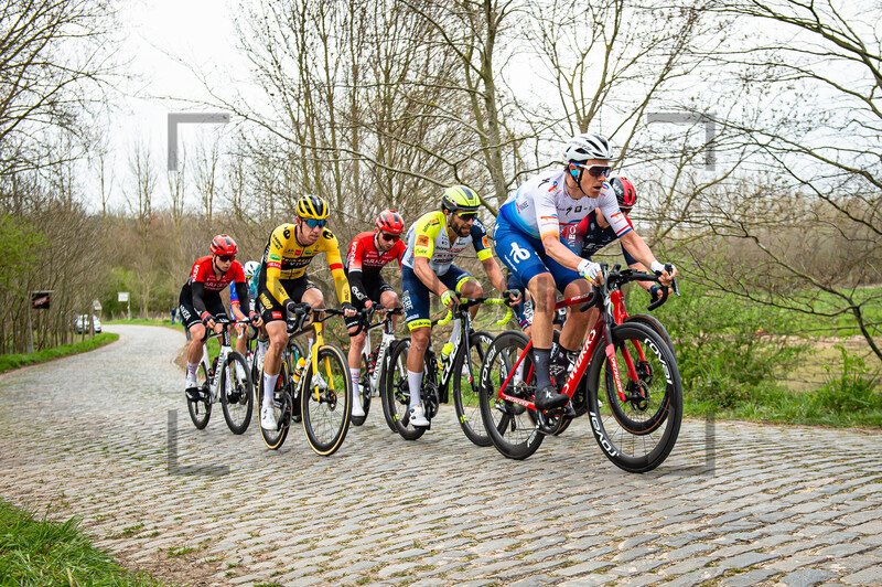 TERPSTRA Niki: Dwars Door Vlaanderen 2022 - MenÂ´s Race 