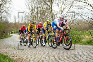 TERPSTRA Niki: Dwars Door Vlaanderen 2022 - MenÂ´s Race