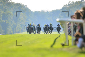 Horse Race: Galopprennbahn Hoppegarten