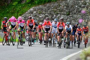 GREIPEL André: Tour de Suisse 2018 - Stage 7