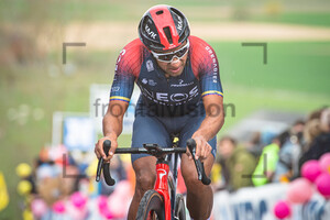 NARVAEZ PRADO Jhonatan Manuel: Ronde Van Vlaanderen 2022 - Men´s Race
