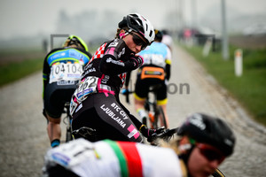 RADOTIC Mia: Ronde Van Vlaanderen 2019