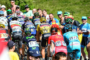 VAN AVERMAET Greg: 103. Tour de France 2016 - 8. Stage