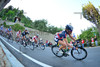 Mara Abbott: UCI Road World Championships, Toscana 2013, Firenze, Road Race Women