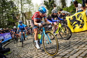 SCHWEINBERGER Kathrin: Ronde Van Vlaanderen 2019
