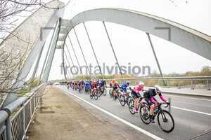 KRAHL Judith: Ronde Van Vlaanderen 2023 - WomenÂ´s Race