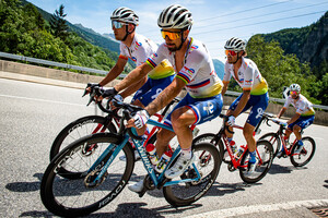 SAGAN Peter: Tour de Suisse - Men 2022 - 6. Stage