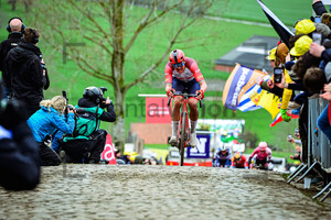 PEDERSEN Mads: Ronde Van Vlaanderen 2023 - MenÂ´s Race