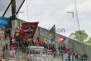Fans, Ultras des FC Ingolstadt 04 in Essen 28.04.2024