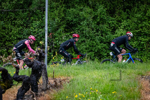 BALMER Alexandre, BRENNER Marco, RAFFERTY Darren: Tour de Romandie – 5. Stage