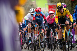 BERTON Nina: Ronde Van Vlaanderen 2023 - WomenÂ´s Race