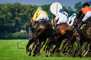 BEST Andre: Horse Race Course Hoppegarten