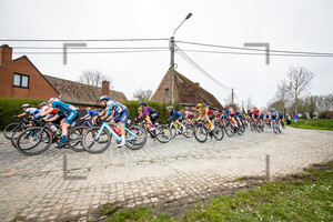 CONFALONIERI Maria Giulia: Dwars Door Vlaanderen 2023 - WomenÂ´s Race