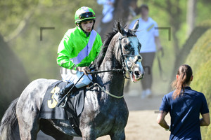 SECHI Nicola: 150 Years Horseracecourse Hoppegarten