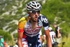 Team Lotto Belisol: Vuelta a Espana, 13. Stage, From Valls To Castelldefels