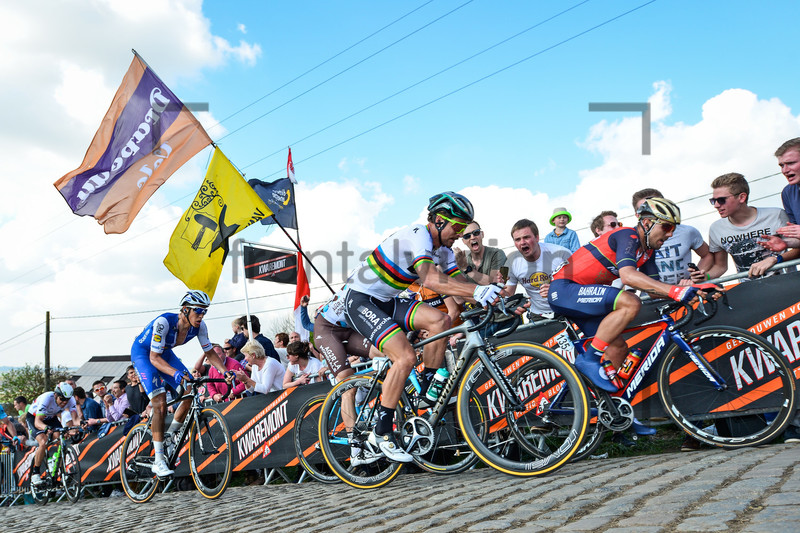 SAGAN Peter ( SVK ): Ronde Van Vlaanderen 2017 