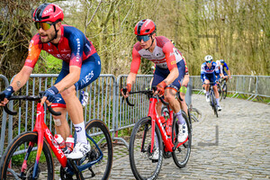 KIRSCH Alex: Dwars Door Vlaanderen 2023 - MenÂ´s Race