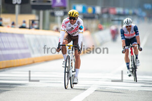 VAN AVERMAET Greg: Ronde Van Vlaanderen 2021 - Men