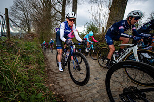 CHAPMAN Brodie: Ronde Van Vlaanderen 2022 - Women´s Race