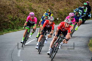 GREIPEL André: Tour de France 2018 - Stage 5