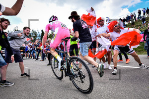 KRUIJSWIJK Steven: 99. Giro d`Italia 2016 - 15. Stage