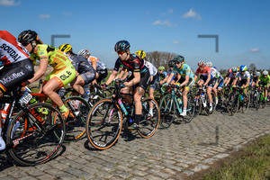 RYAN Alexis: 100. Ronde Van Vlaanderen 2016