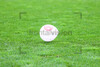 Luftballon Rot-Weiss Essen vs. SC Freiburg II 01.04.2023