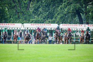 7. Race: Horse Race Course Hoppegarten