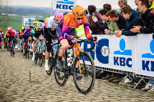 WILLIAMS Lily: Ronde Van Vlaanderen 2023 - WomenÂ´s Race