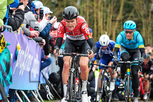 BENOOT Tiesj: Ronde Van Vlaanderen 2018