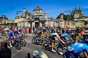 THOMSON Jay Robert: Tour de France 2018 - Stage 8