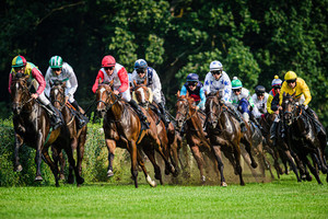 10. Race: Horse Race Course Hoppegarten