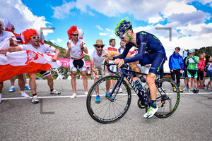 VISCONTI Giovanni: 99. Giro d`Italia 2016 - 15. Stage