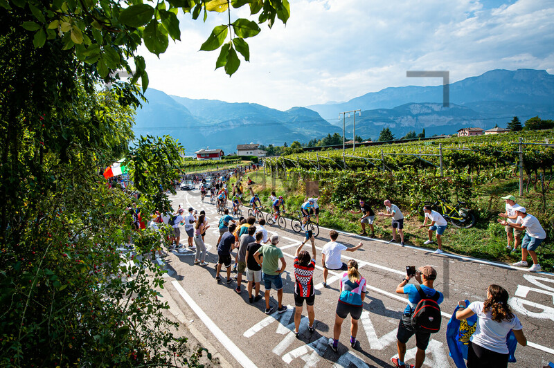 HIRSCHI Marc: UEC Road Cycling European Championships - Trento 2021 